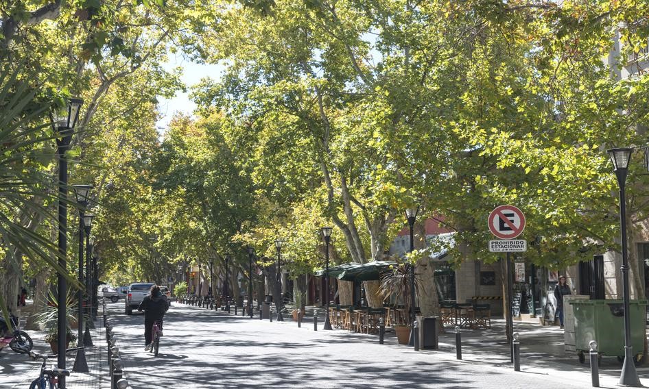 Las mejores bodegas para visitar en San Rafael