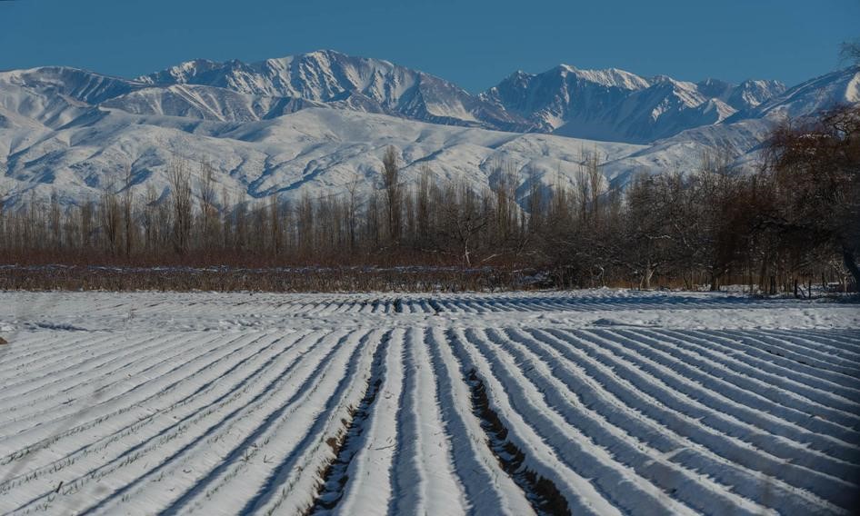 Vacaciones de invierno en Mendoza