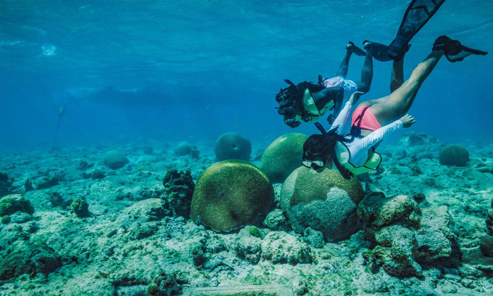 Qué cosas hacer en Punta Cana